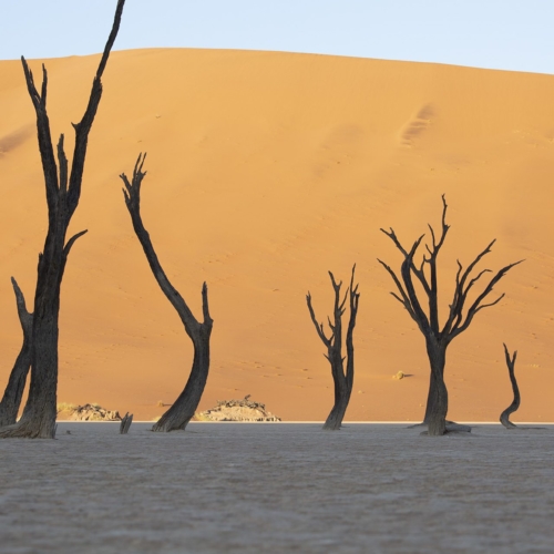 Christine Bozza Itinérances Paysages Namibie 12